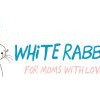 White Rabbit White Rabbit