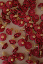 Экологическая пустышка Frigg Daisy, красного цвета